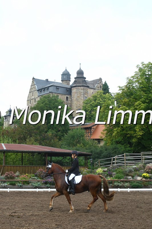 109M3783_Prinz_Dressur E.JPG